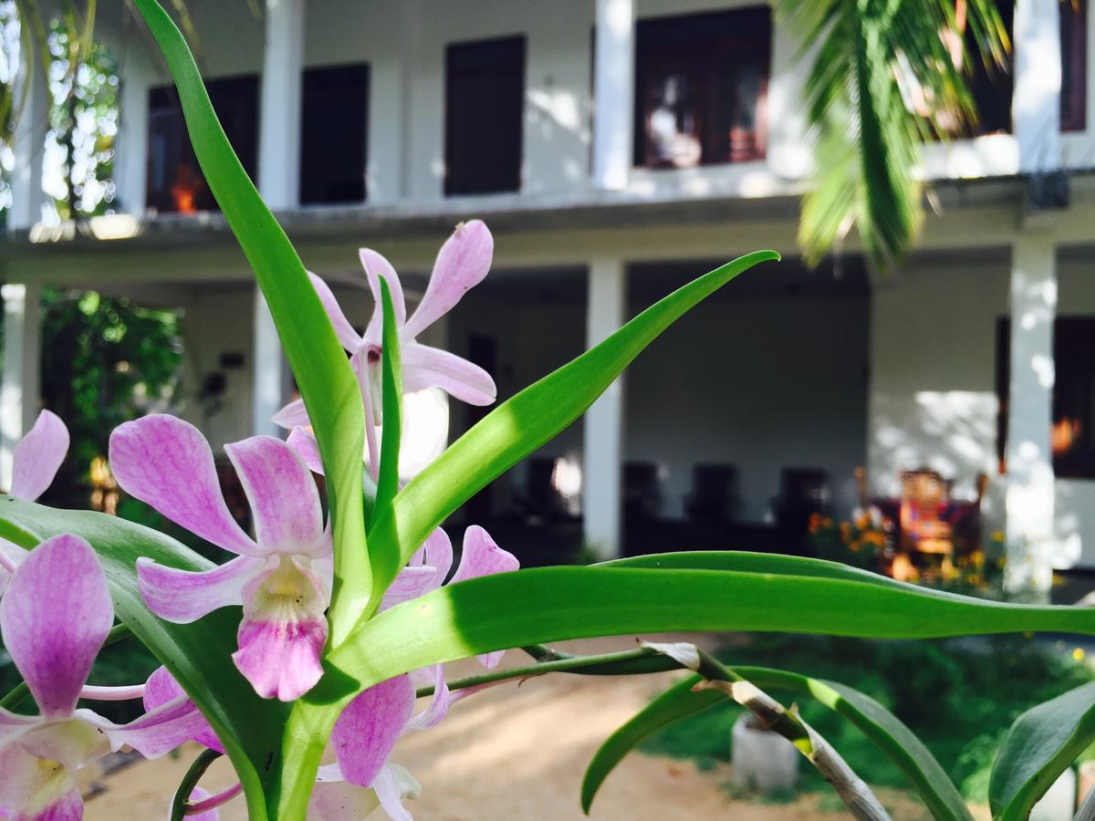 Sigiri Rainbow Lodge Sigiriya Buitenkant foto